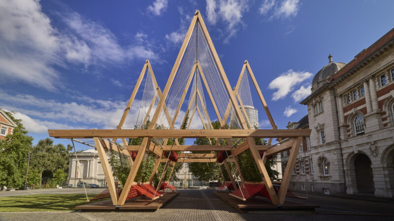 Vert: la via della quercia rossa per una città più fresca e verde