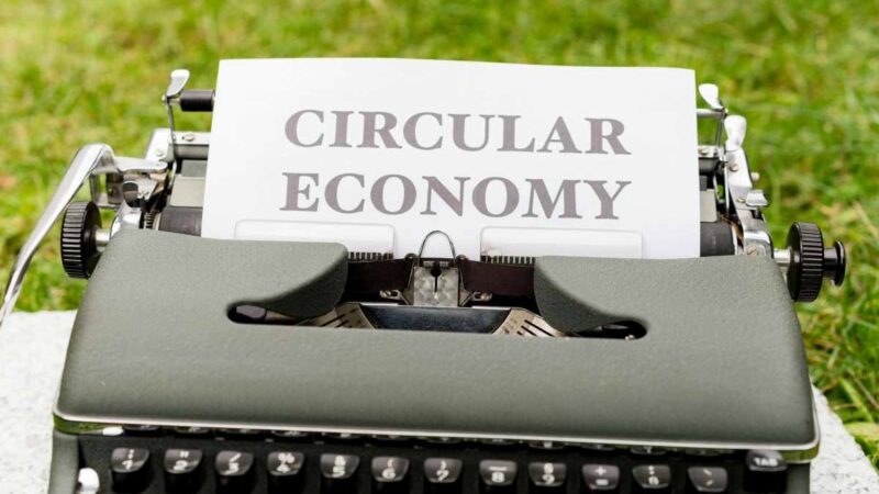 TRANSIZIONE CLIMATICA, SEIPA: «ECONOMIA CIRCOLARE E BIODIVERSITÀ SONO LEVE STRATEGICHE»